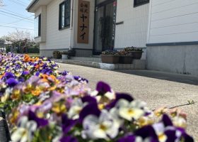 春🌸こんにちは